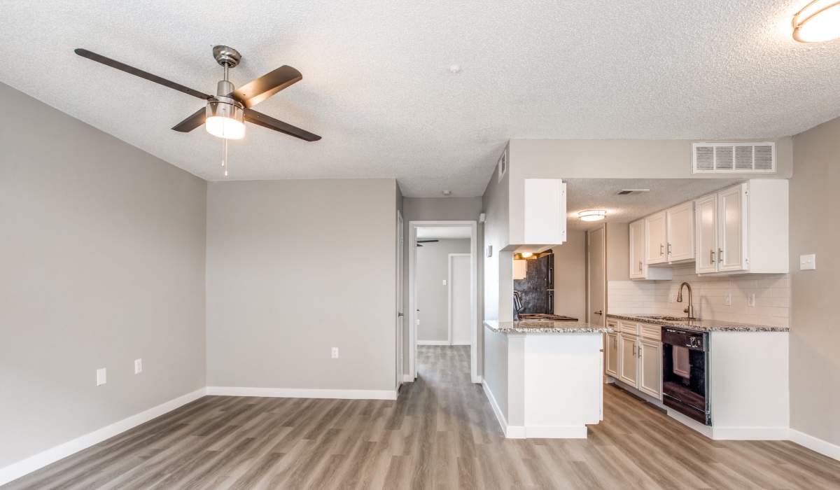 Modern open kitchen at Villa De Oro in San Antonio, Texas