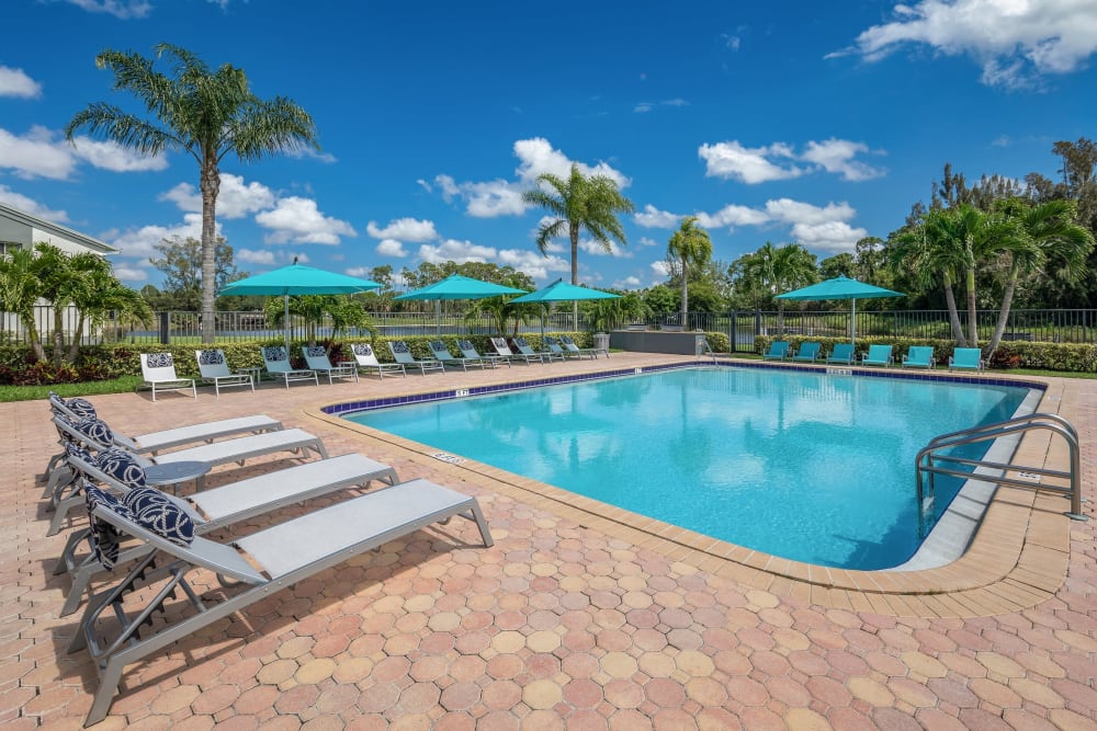 Palm trees around the pool at Verse at Royal Palm Beach in Royal Palm Beach, Florida