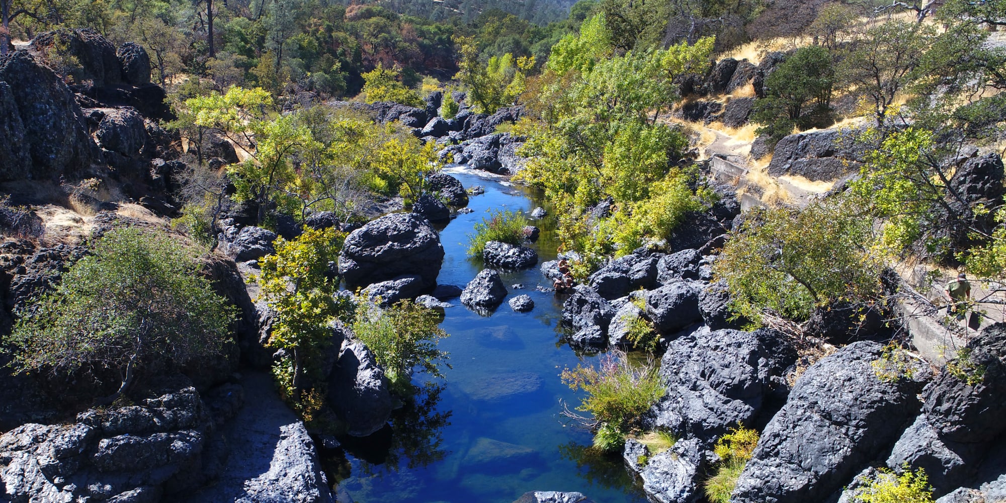 Beautiful, clear creek with riverside plants near MWS Properties in Chico, California