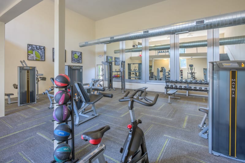 Large fitness center at Presley Oaks in Charlotte, North Carolina