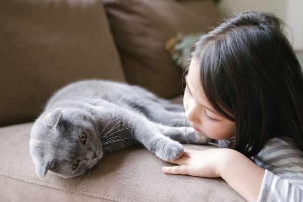 Happy cat and its owner in their apartment home at 544 Southern Apartments in Mesa, Arizona