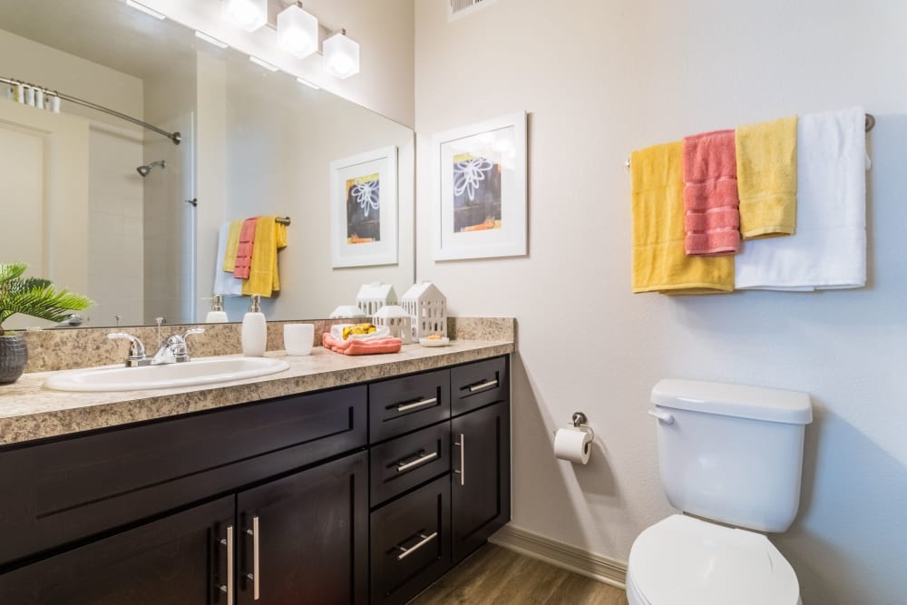 Model bathroom at Lakeline at Bartram Park in Jacksonville, Florida