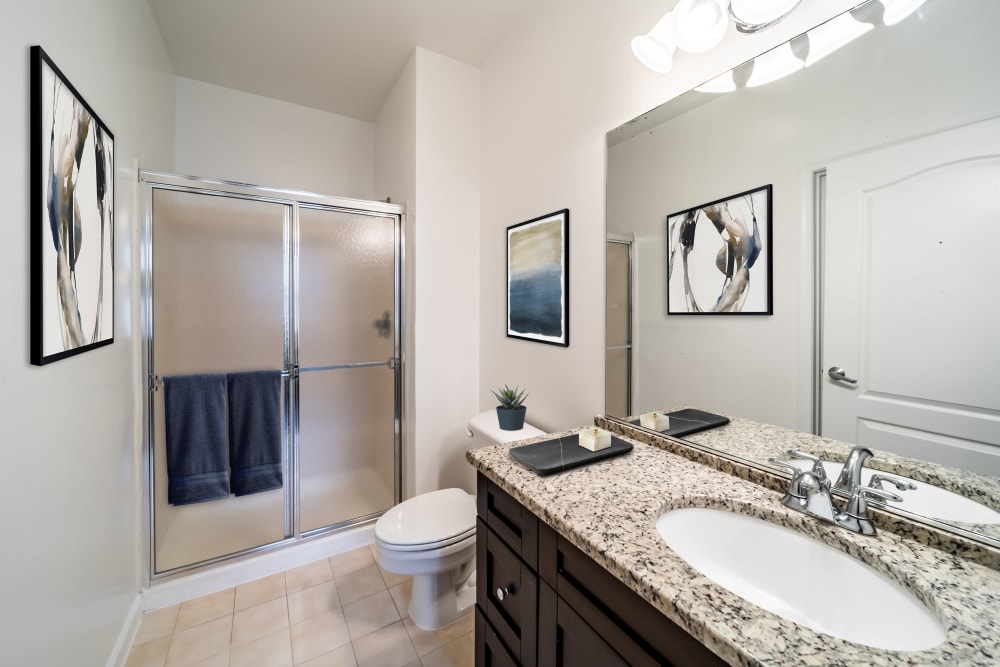 Master bathroom with walk in shower at Sofi Gaslight Commons in South Orange, New Jersey