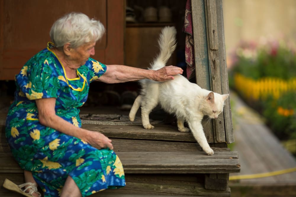 A resident petting her cat at Garden Place Millstadt in Millstadt, Illinois