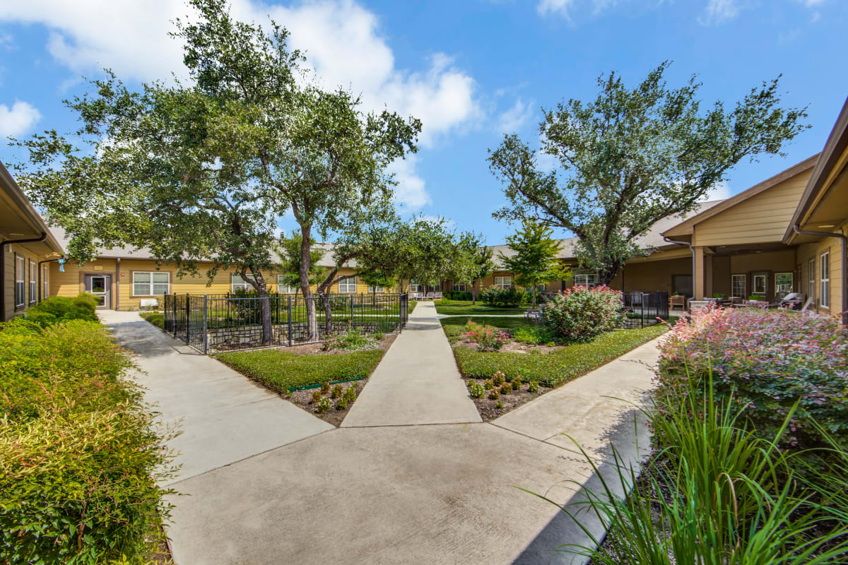 A grassy courtyard at The Landing at Stone Oak in San Antonio, Texas