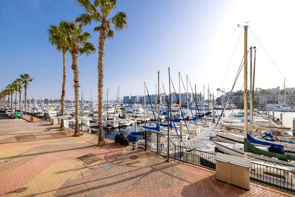 Luxury marina filled with boats and palm trees at Capri Apartments in Marina Del Rey, California