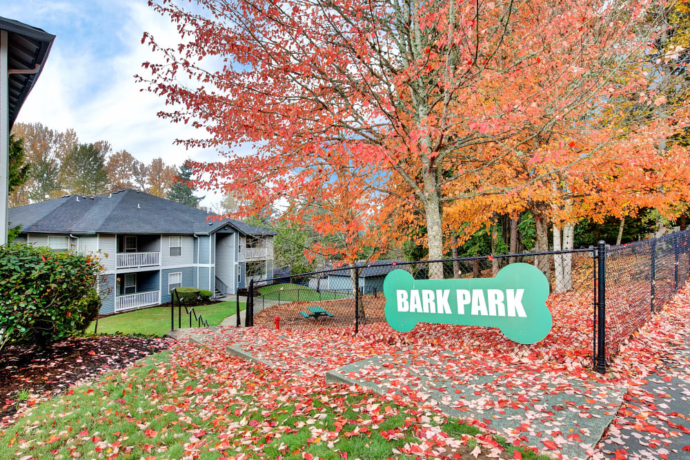 Have fun with your furry friend in the dog park at Pebble Cove Apartments in Renton, Washington