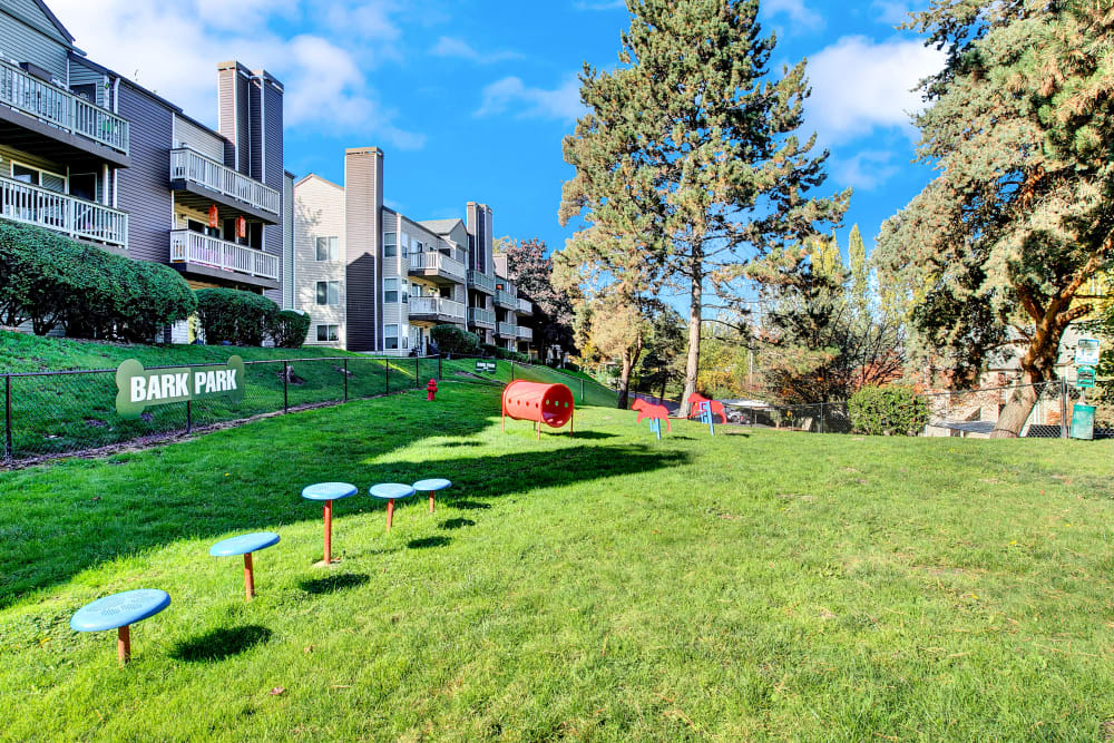 Off-leash dog park at Park South Apartments in Seattle, Washington