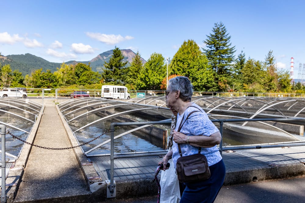 Resident viewing the fishes at Cherry Park Plaza in Troutdale, Oregon