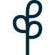 Divider Image