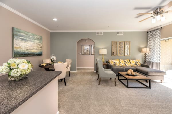 Luxury features at Cross Pointe Apartment Homes in Antioch
