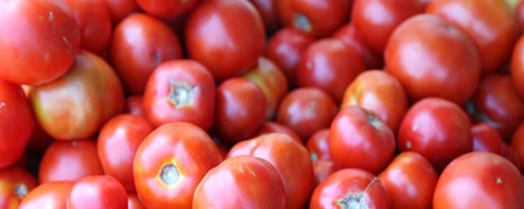 Learn more about Inspired Dining at Maplewood Senior Living