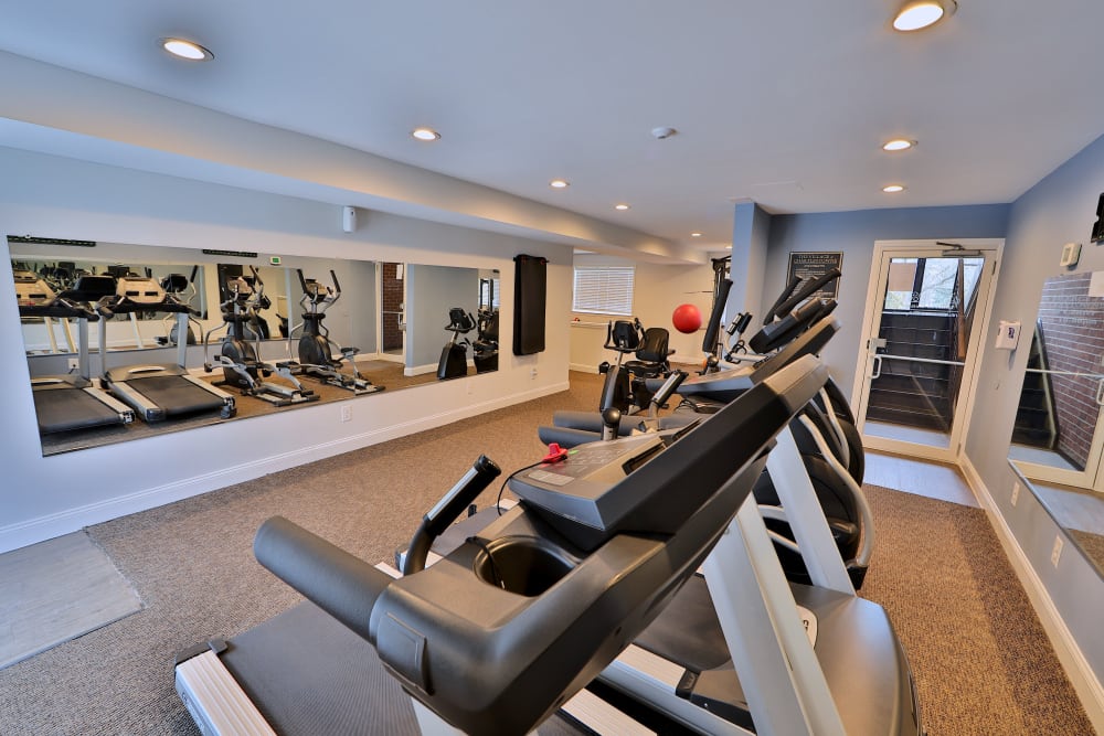 Fitness Center at The Village of Chartleytowne Apartments & Townhomes in Reisterstown, Maryland