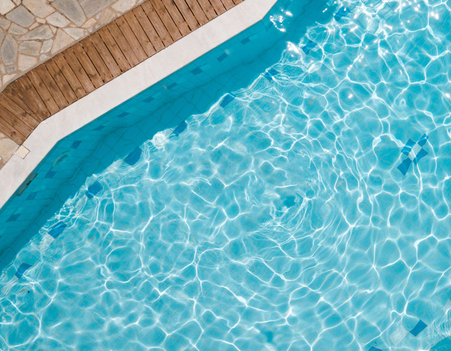 A pool at Sage at Cypress Cay in Lutz, Florida