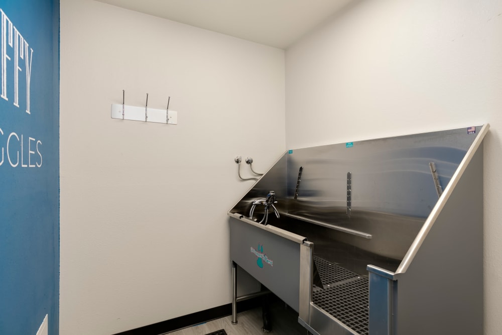 Dog washing station at Meadows at Cascade Park Apartments in Vancouver, Washington