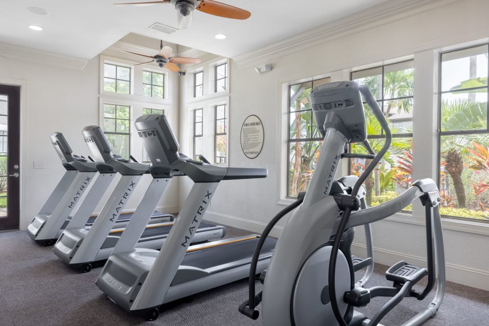 Cardio machines in the fitness center at Verandahs of Brighton Bay in St. Petersburg, Florida