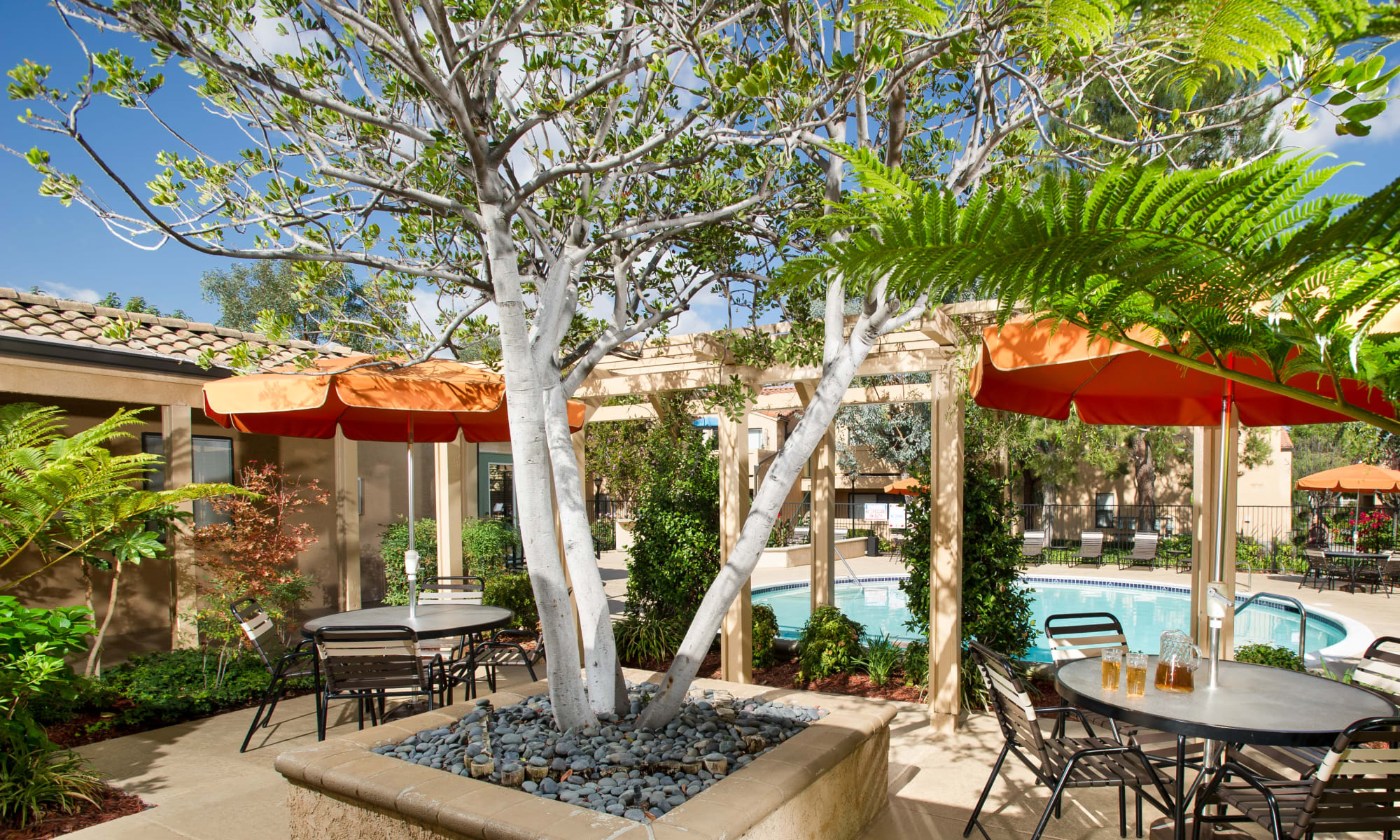 Pet friendly at The Villas at Rowland Heights in Rowland Heights, California