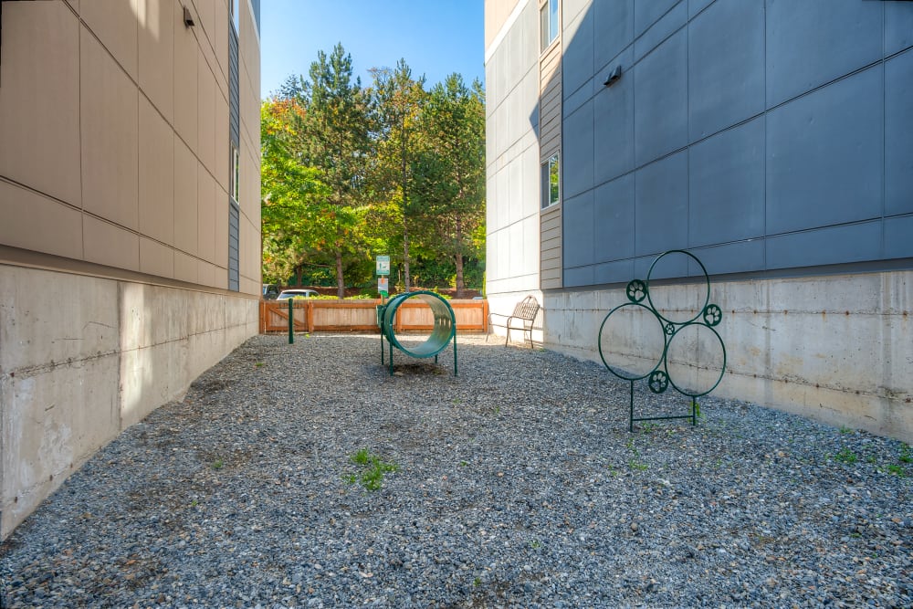 The bark park at Karbon Apartments in Newcastle, Washington