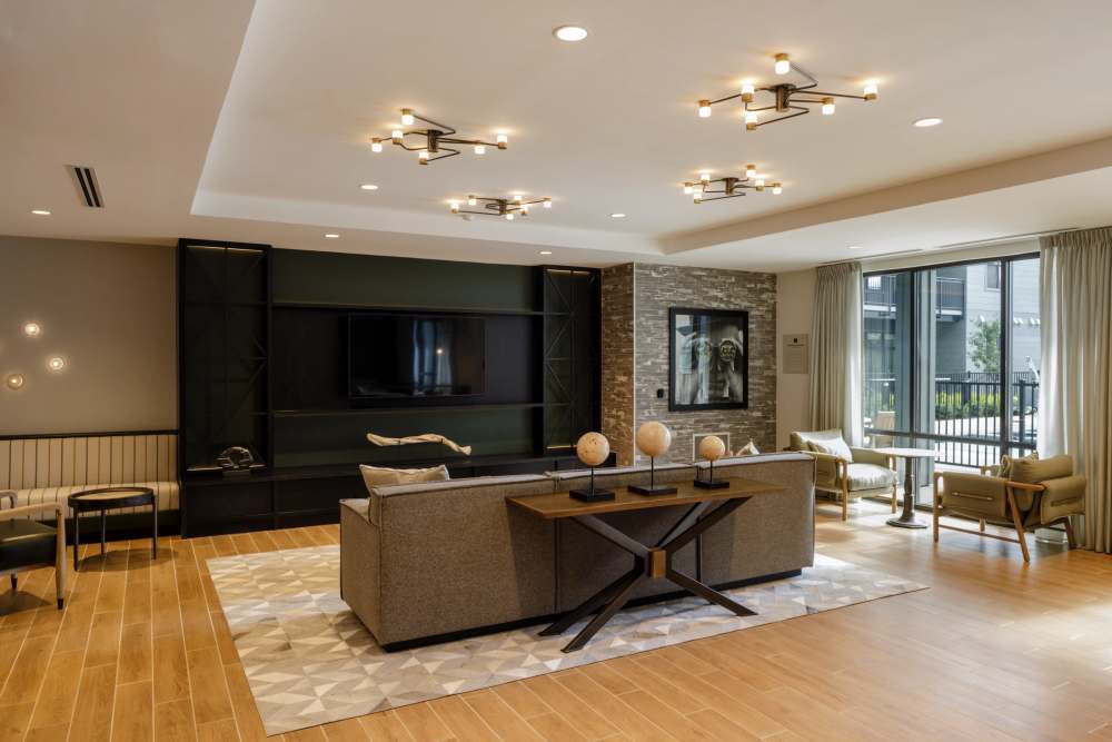TV room at The Elysian at Stonefield in Charlottesville, Virginia