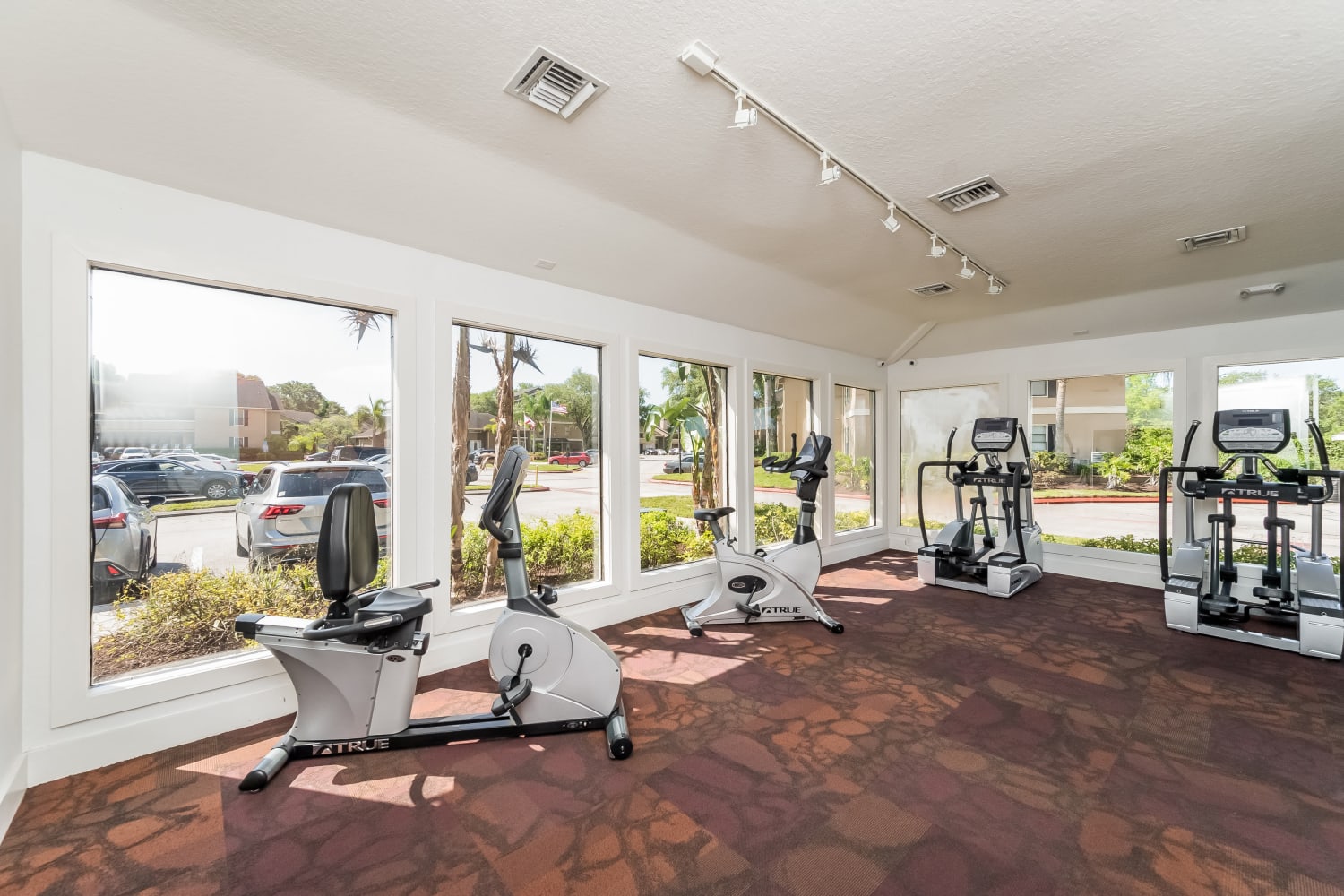 Fitness center at Tuscany Pointe at Tampa Apartment Homes in Tampa, Florida