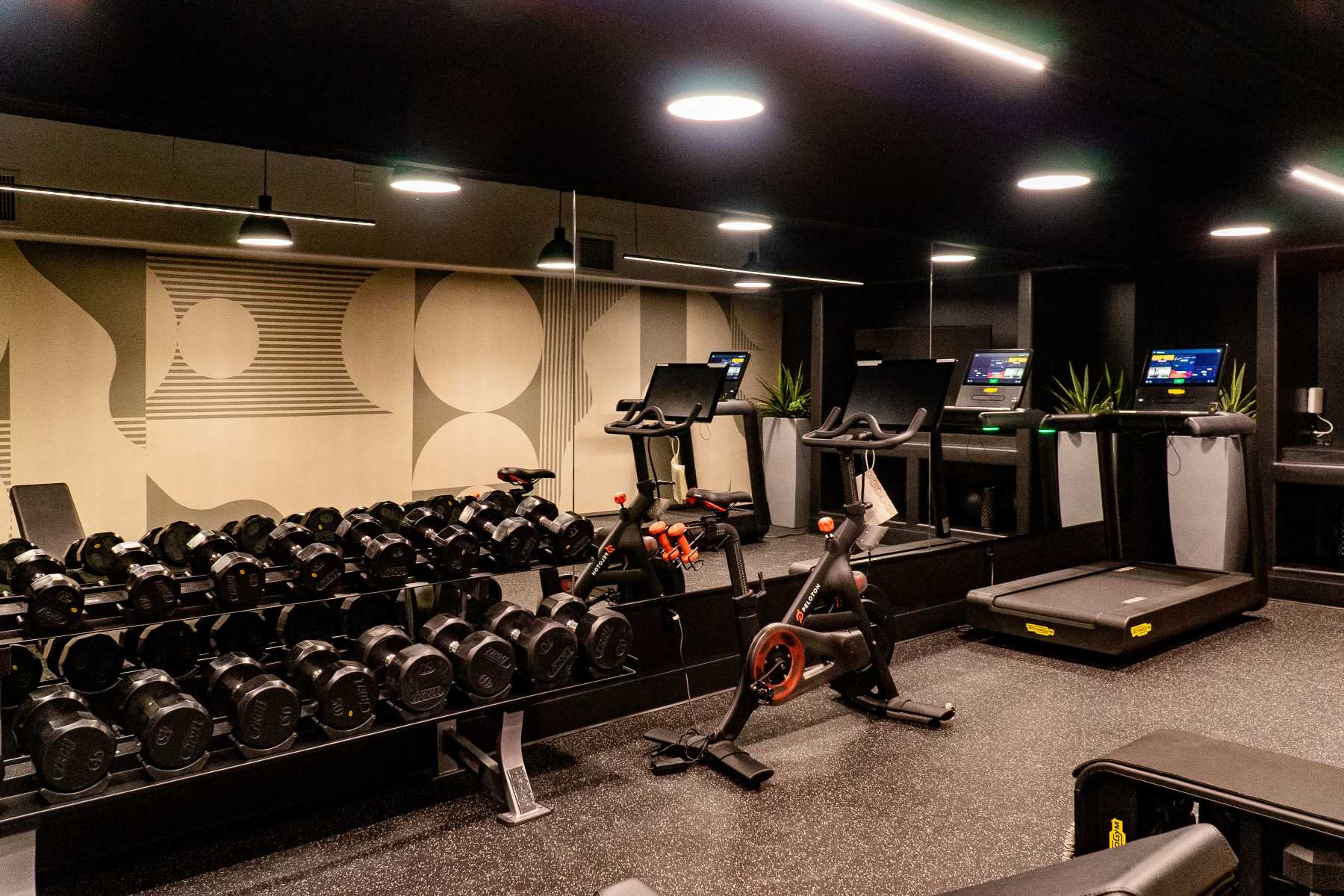 Modern indoor gym with dumbbells, treadmills, bikes, mirror wall at Luxe Villas in Brentwood, California