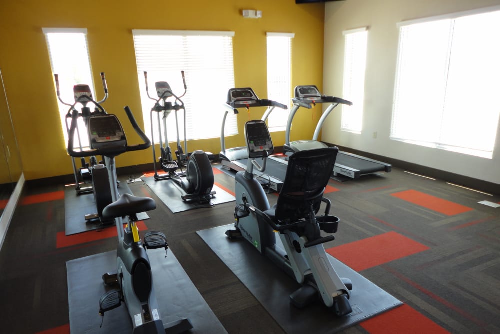 Fully equipped fitness center at Anatole at City View in Lubbock, Texas