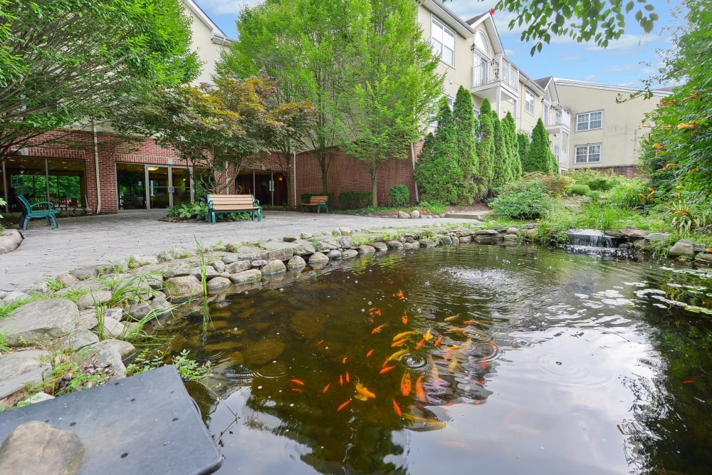 Pond on the ground of Horizons at Franklin Lakes Apartment Homes in Franklin Lakes, New Jersey