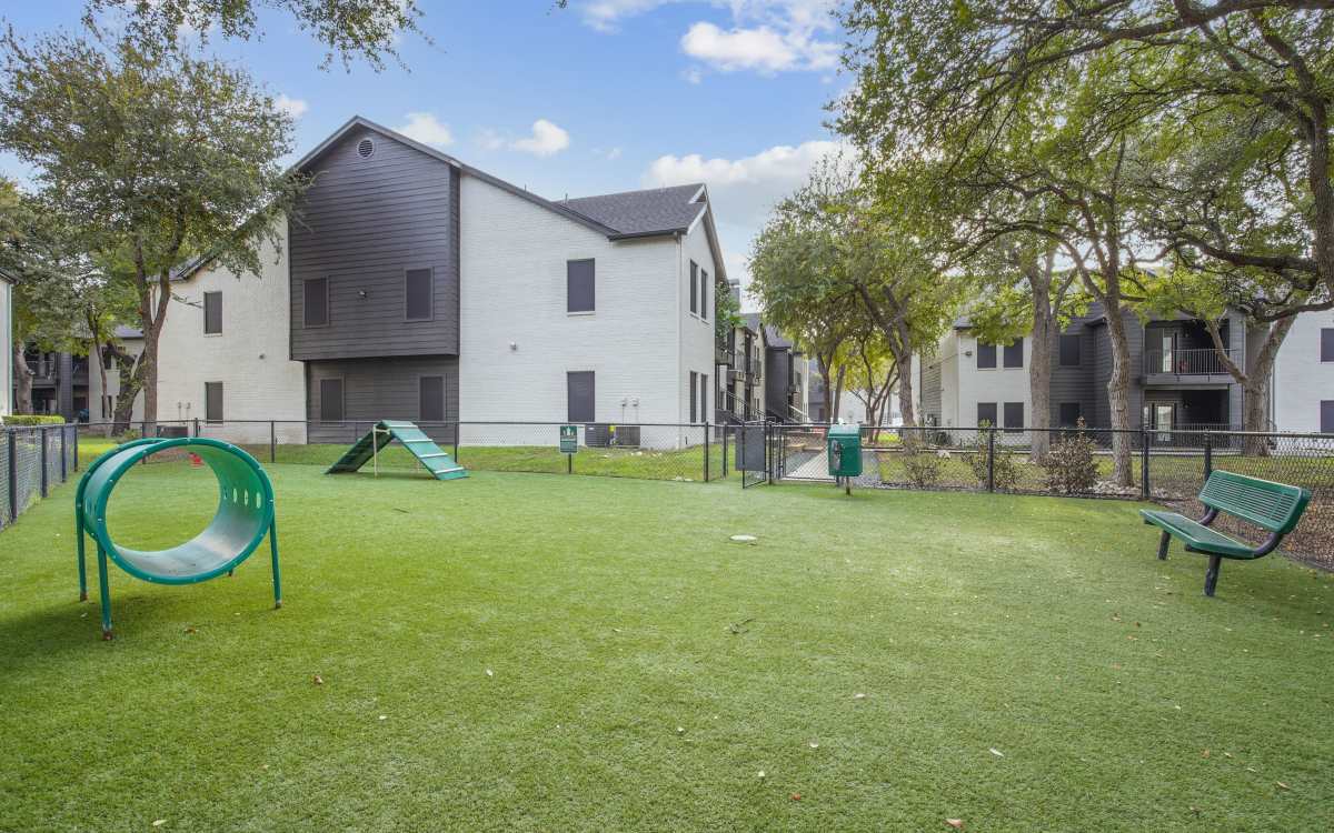 Dog sitting in sofa atEaston in San Antonio, Texas