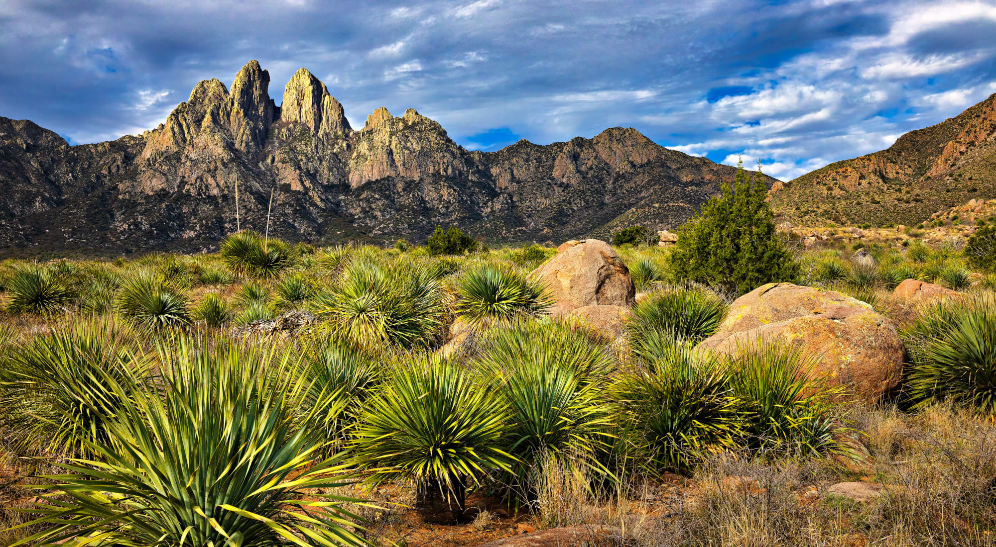 View of the lush desert at Desert Peaks Assisted Living and Memory Care in Las Cruces, New Mexico