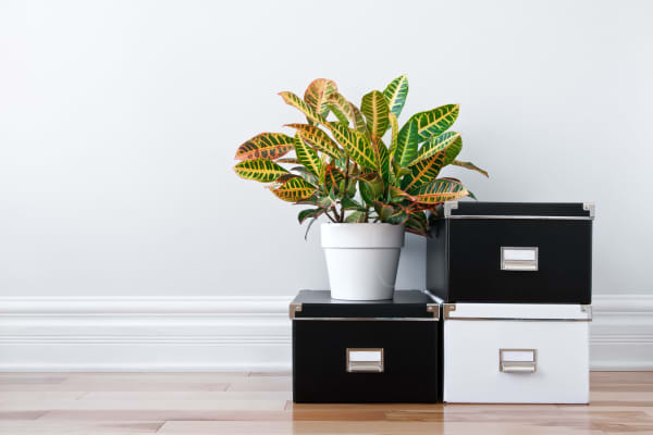 Lockaway Storage offers document storage in California