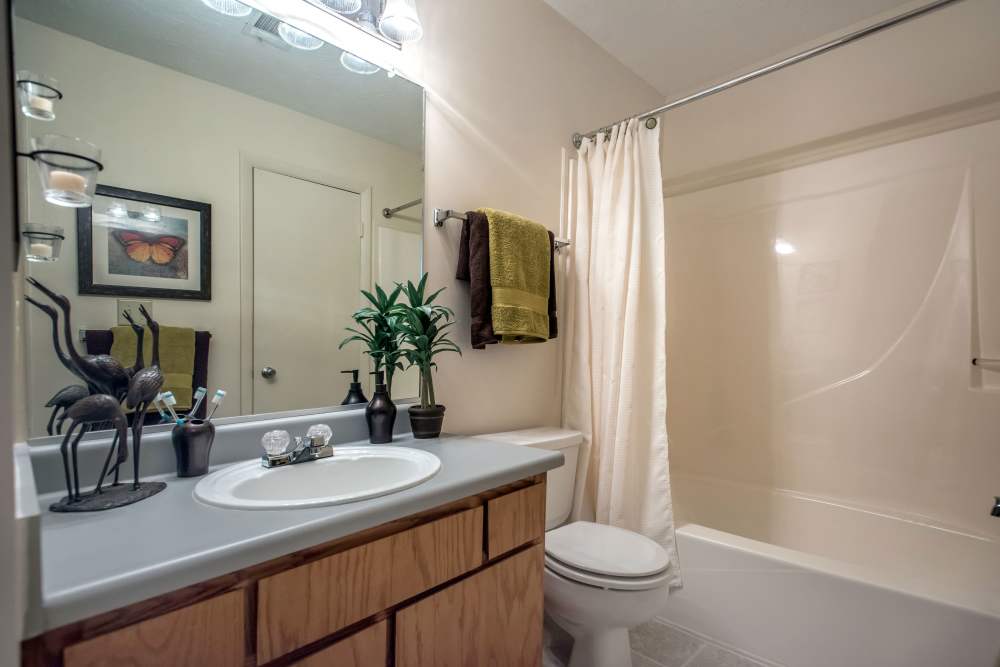 Bright bathroom featuring a large mirror, light fixtures, and decorative plants at Stevens Creek Commons in Augusta, Georgia