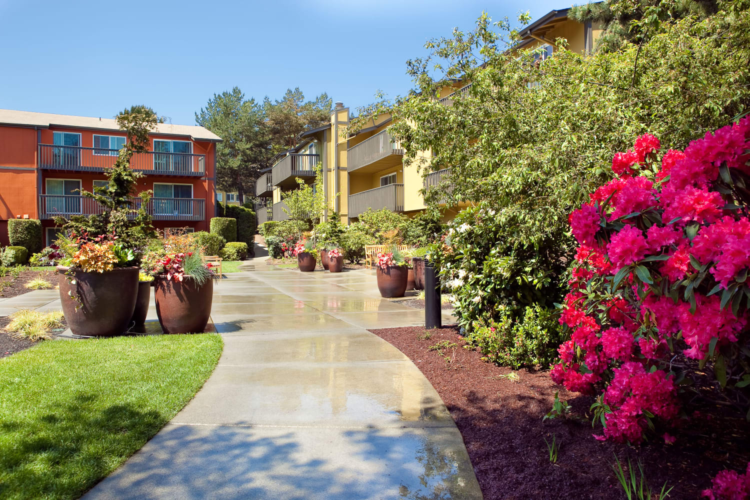 Inviting neighborhood at Edgewood Park Apartments in Bellevue, Washington