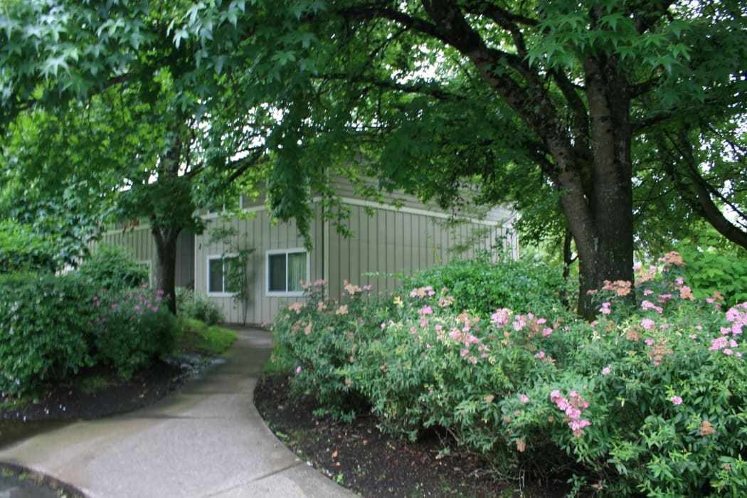 Enjoy beautiful green areas at Fountain Court in Springfield, OR