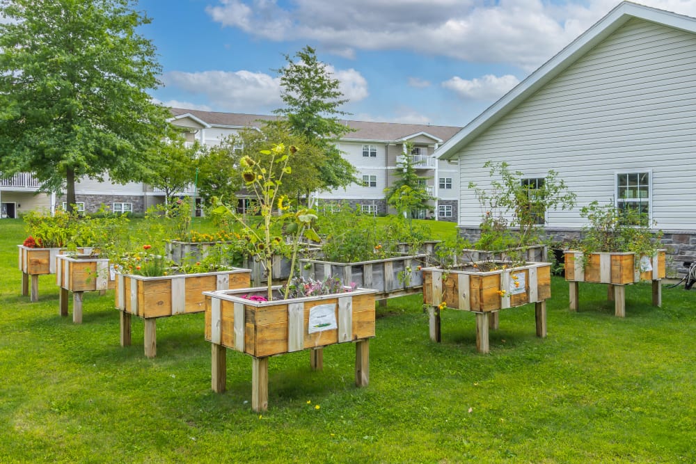 Community garden boxes at Schuyler Commons in Utica, New York.