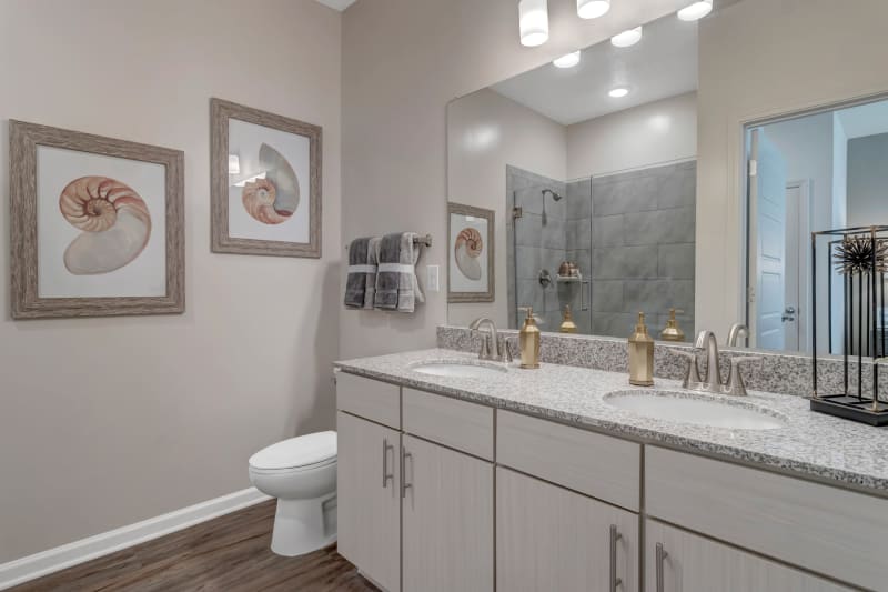 Large vanity mirror in a model apartment's bathroom at Tapestry Westland Village in Jacksonville, Florida