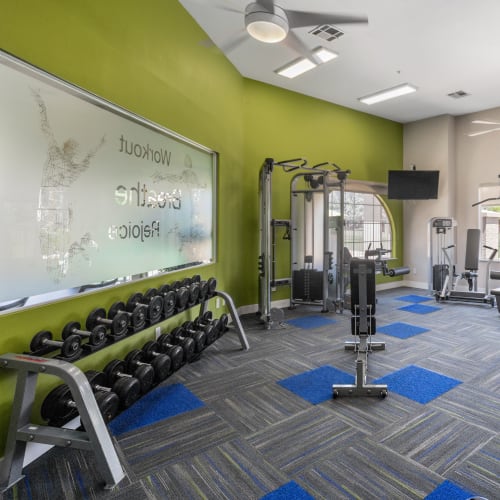 the fitness center at The Linq in Chandler, Arizona