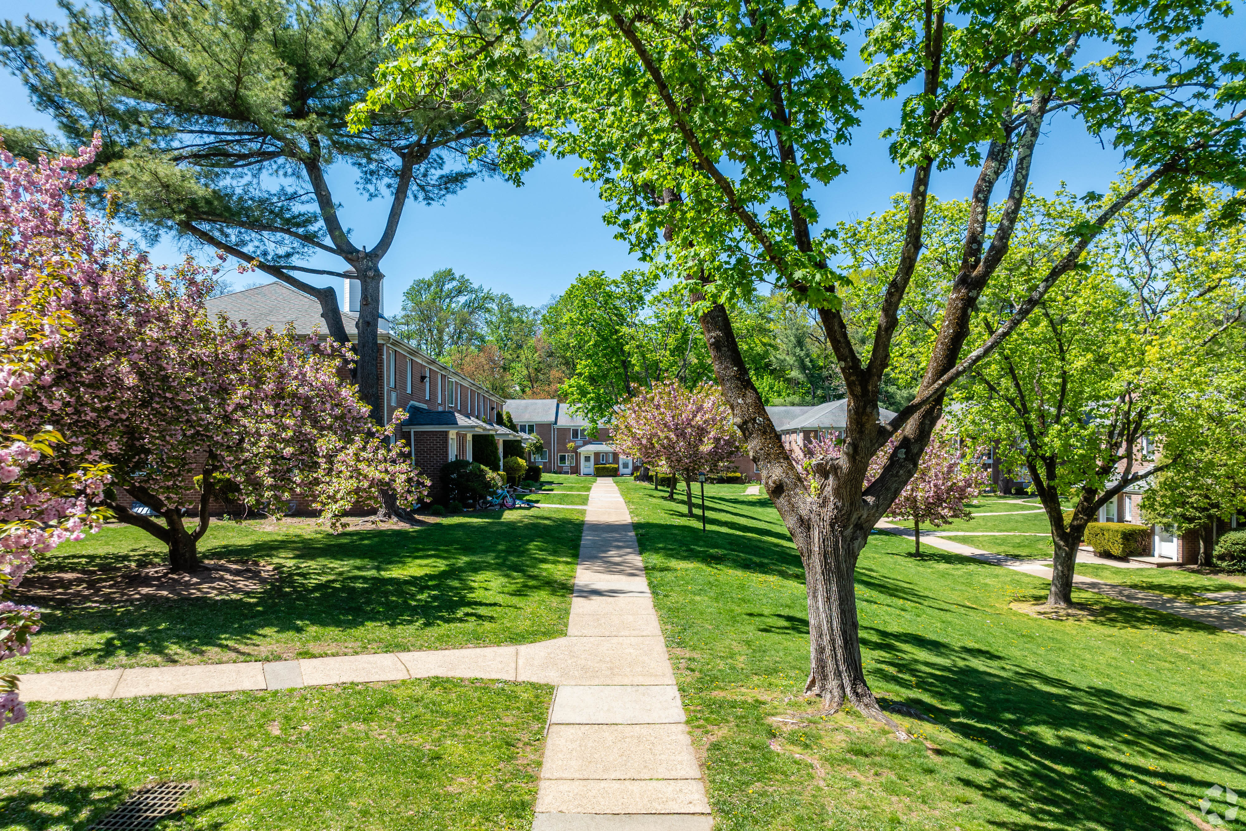 Community Grounds