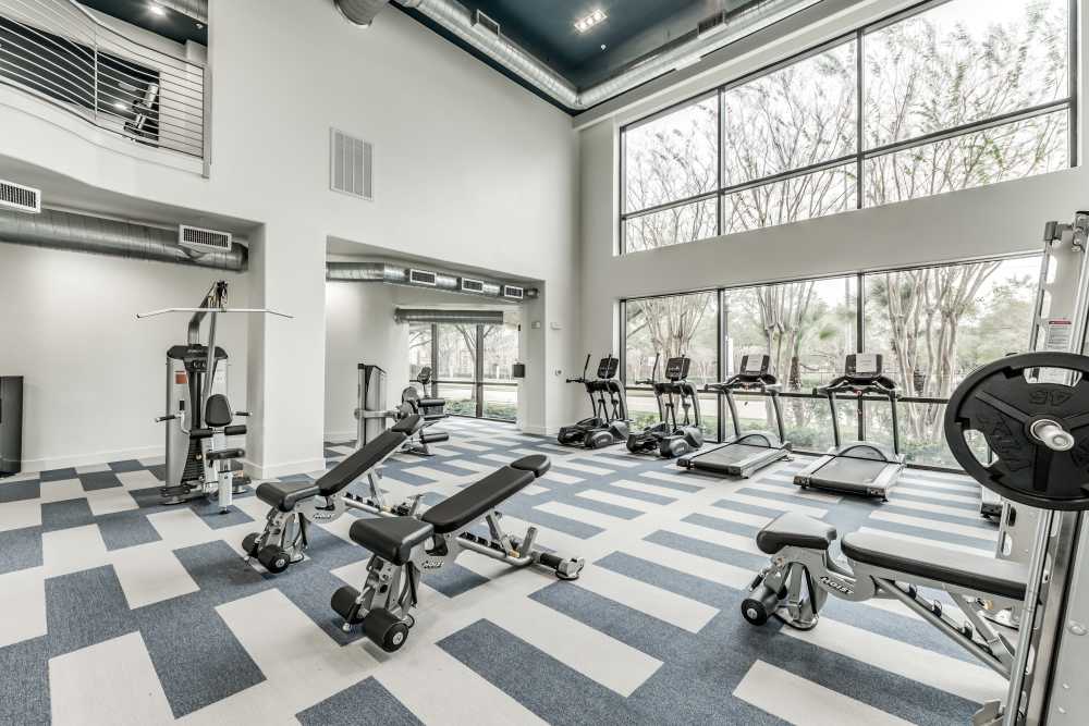 A well-equipped community fitness center at Briar Forest Lofts in Houston, Texas