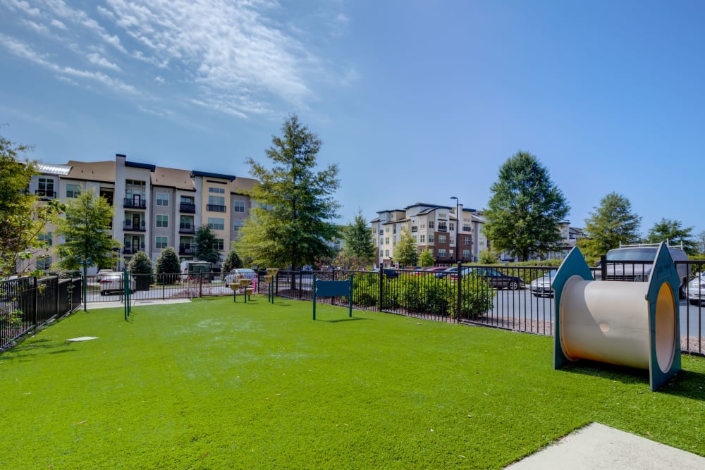 Onsite dog park at Celsius Apartment Homes in Charlotte, North Carolina