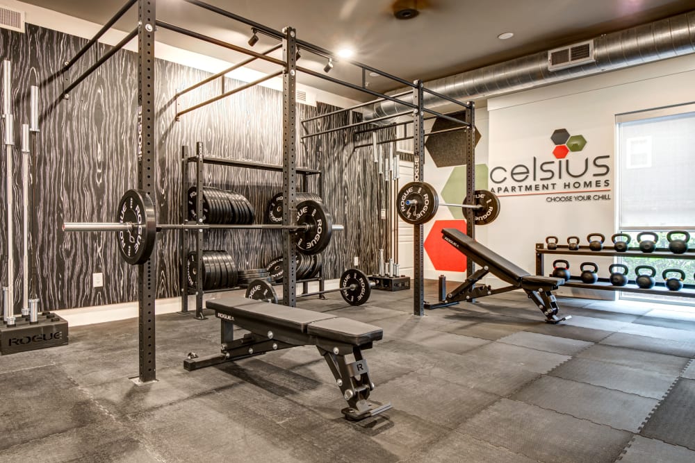 Well-equipped fitness center at Celsius Apartment Homes in Charlotte, North Carolina
