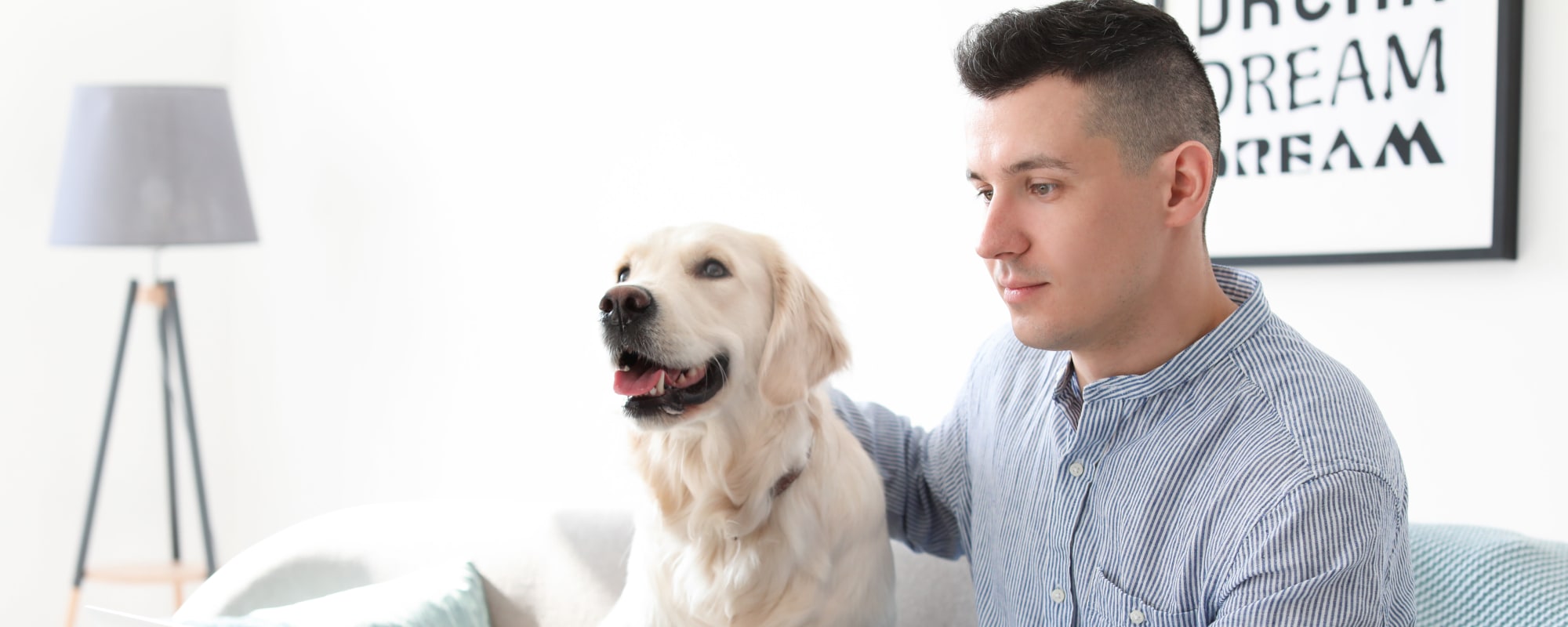 Pet friendly apartments at The Vue at Westchester Commons in Midlothian, Virginia