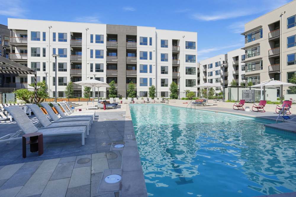 Residents sitting poolside having a drink at The Colton in Redwood City, California