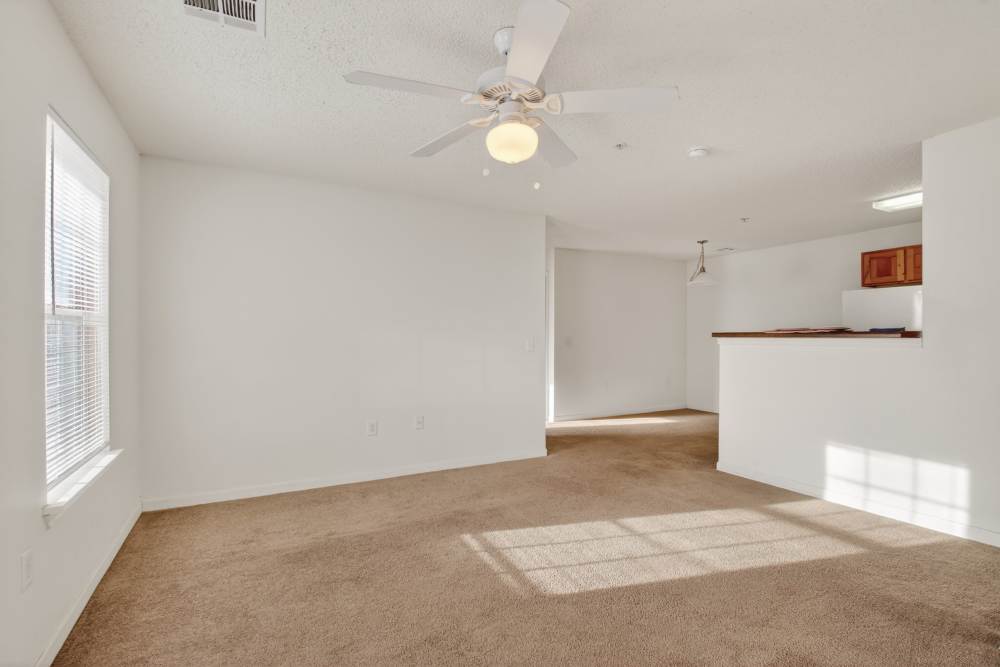 Living room with carpeted flooring at Rose Meadows Apartments in Levelland,Texas