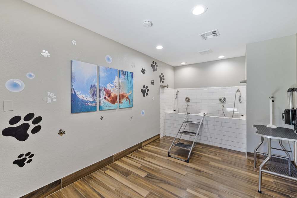 Pet wash room at Village Oaks in Chino Hills, California
