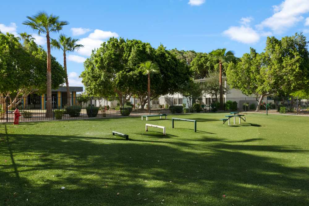 Beautiful dog park with greenery at Sono Tempe in Tempe, Arizona