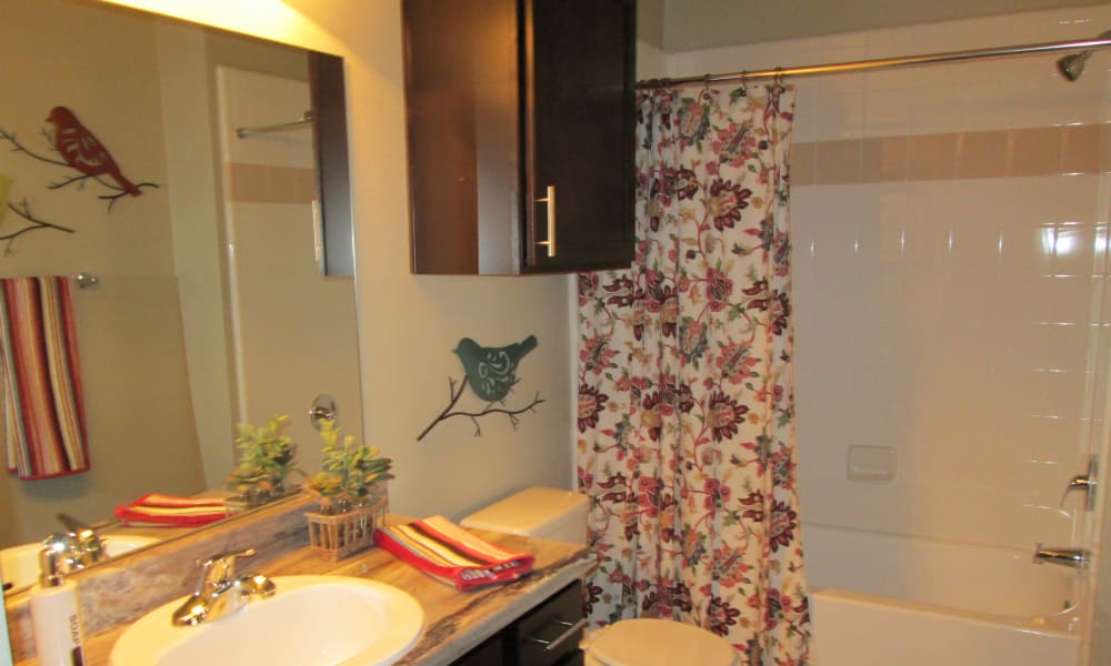 Bathroom at Park at Coulter in Amarillo, Texas