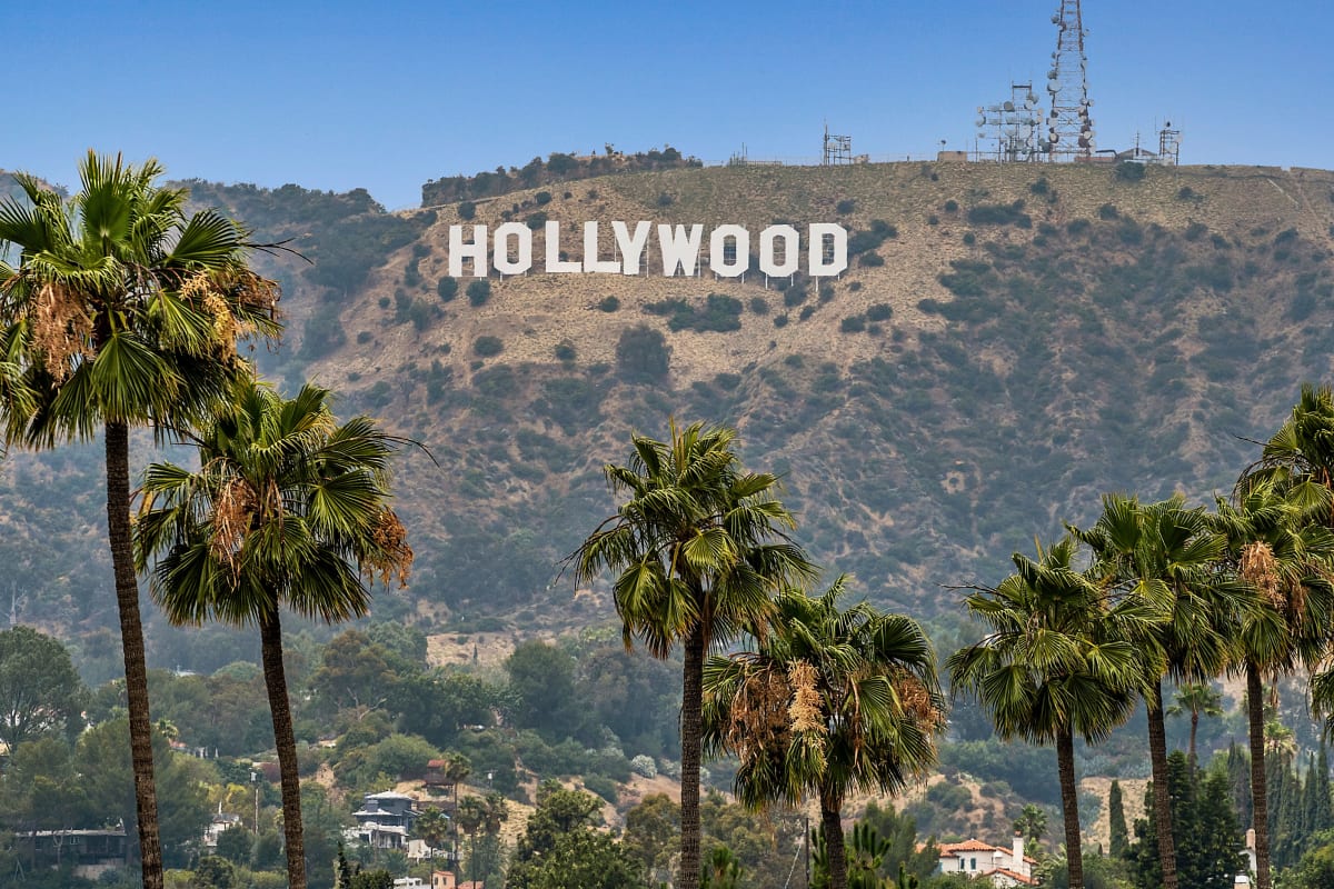 Impeccable views from Media Towers, Los Angeles, California 