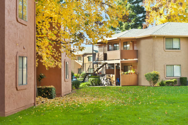 Spacious yard at Pine Tree Apartments in Chico, California