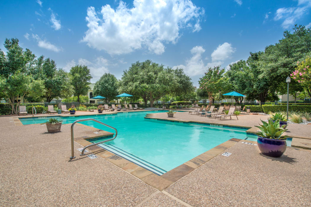Enjoy a refreshing swimming pool at 23Hundred at Ridgeview in Plano, Texas