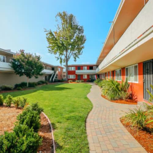 Beautifully kept lawn and walkway for residents at Garden Court Apartments in Alameda, California